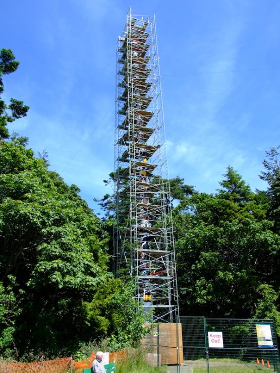 Scaffolding Rentals Victoria BC | Scaffolding Design & Setup